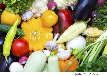 Background of fresh vegetables and greens closeup Background of fresh vegetables and greens closeup 23637892