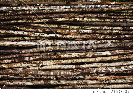 Natural background from old tree Natural background from old tree 23638487