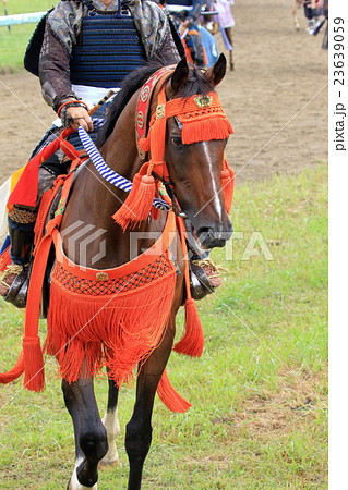 相馬野馬追い　騎馬 23639059