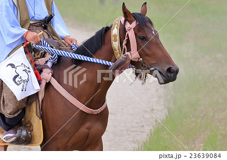 相馬野馬追い　騎馬 23639084