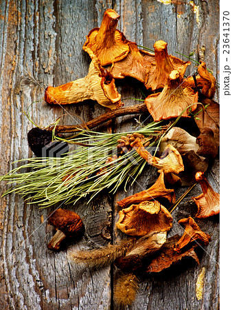 Arrangement of Dried Mushrooms Arrangement of Dried Mushrooms 23641370