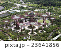 Singapore Supertrees 23641856