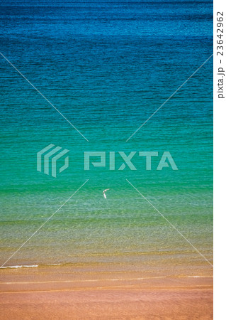 Colorful sea Colorful sea 23642962