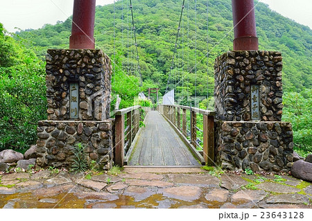 大江町の吊り橋、新童子橋 23643128