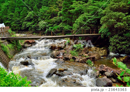 新童子橋までの道のり 23643363