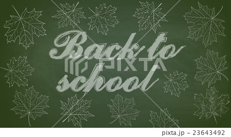Back to School Chalkboard Background 23643492