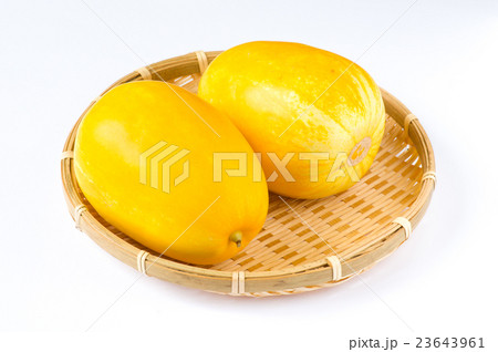 マクワウリ・金太郎 23643961