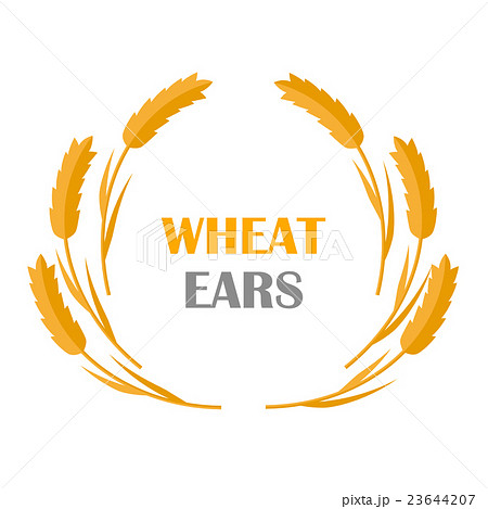 Wheat Ears Concept Illustration in Flat Design. 23644207