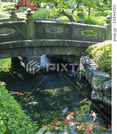 浅草寺の影向堂の庭園にある石橋(東京都台東区) 浅草寺の影向堂の庭園にある石橋(東京都台東区) 23644705