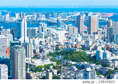 都市風景 さわやかな青空と都会 都市風景の画像素材 東京スカイツリー コピースペース オフィス街の写真素材