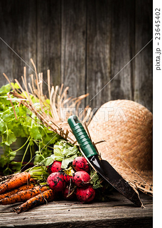 Fresh organic vegetables 23645402