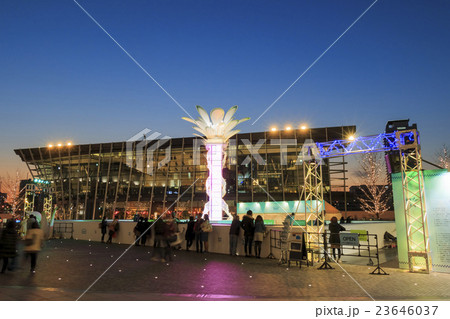 グランフロント大阪・うめきた広場 クリスマス風景 23646037