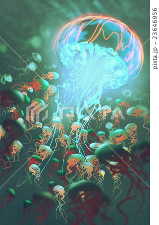 king of jellyfish in the crowd 23646956