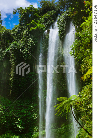 Sekumpul waterfall - Bali island Indonesia 23647106