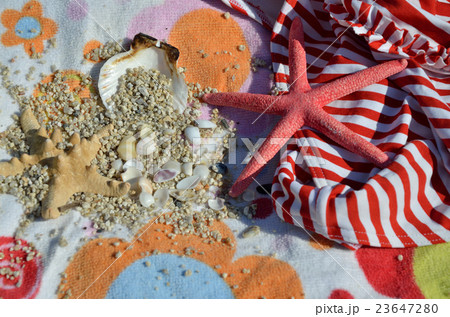 Red-White Bikini and Sea Stars 23647280