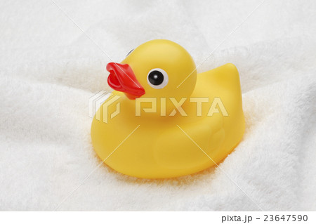 アヒル/白いバスタオルの上のおもちゃのアヒル 23647590