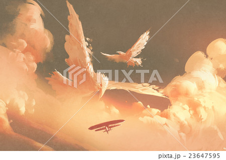birds shaped cloud in sunset sky birds shaped cloud in sunset sky 23647595
