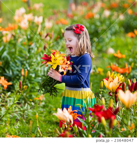 Little girl picking lilly flowers 23648047