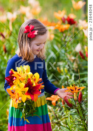 Little girl picking lilly flowers 23648048