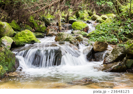小さな滝 23648125