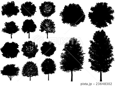 高木 シルエット 高木 シルエット 23648302