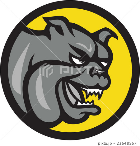 Angry Bulldog Head Circle Cartoon 23648567