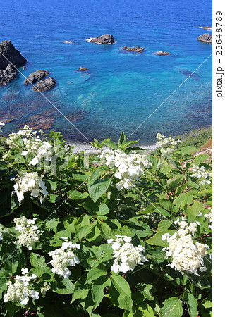 積丹岬の島武意海岸 積丹岬の島武意海岸 23648789