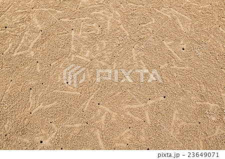 crabs holes crabs holes 23649071