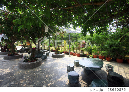 Seaview traditional quadrangle house Seaview traditional quadrangle house 23650876