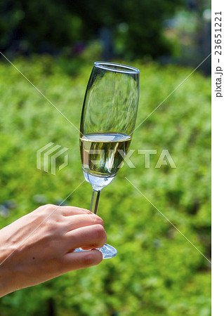 Taichung City Taiwan 23651221