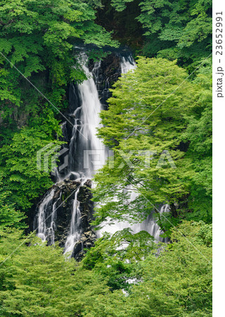 栃木県日光市 霧降ノ滝(上段の滝) 栃木県日光市 霧降ノ滝(上段の滝) 23652991