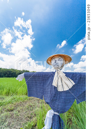 さいたま市 夏空と見沼田んぼの案山子 さいたま市 夏空と見沼田んぼの案山子 23653049