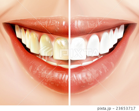 対比 比べる 比較のイラスト素材