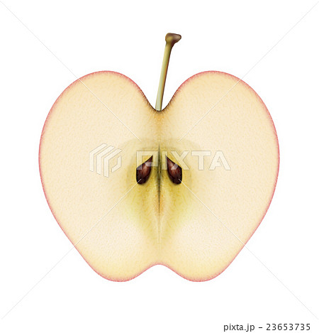 りんご アップル リンゴのイラスト素材