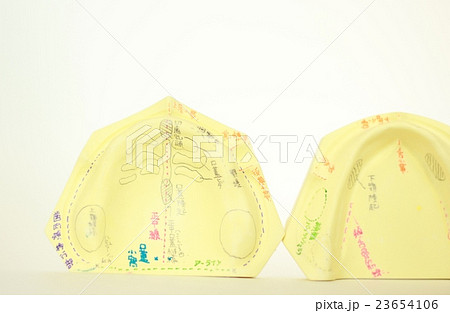 フルデンチャー設計 23654106