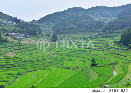 大垪和西の棚田(岡山県久米郡) 大垪和西の棚田(岡山県久米郡) 23654629