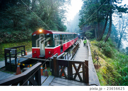 Alishan forest train railway Alishan forest train railway 23656625