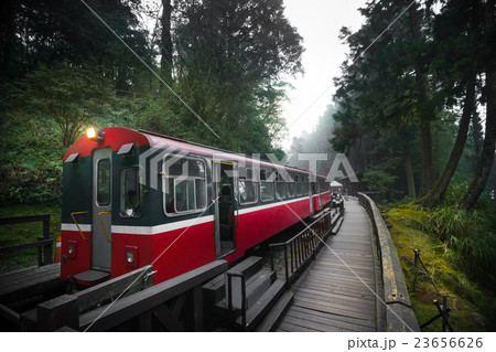 Alishan forest train railway Alishan forest train railway 23656626