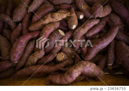 Bucket of sweet potatoes. 23656750