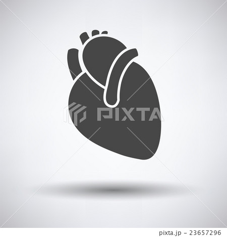 Human heart icon 23657296