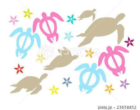 すべての動物の画像 上亀 イラスト ハワイ