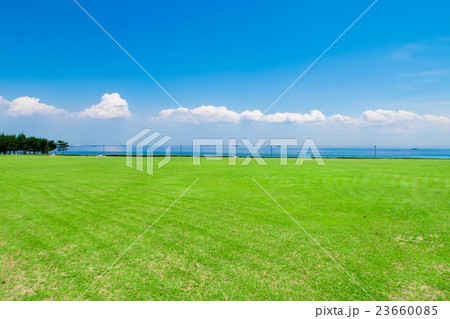 浦安市総合公園 浦安市総合公園 23660085