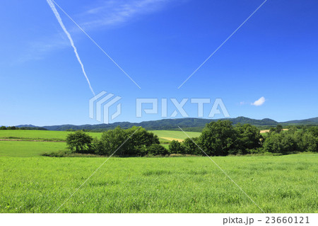 北海道　美瑛町　草原とヒコーキ雲 23660121