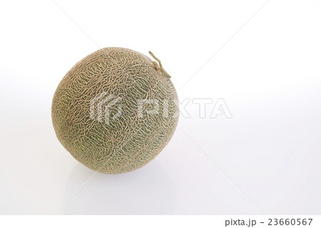 melon 23660567