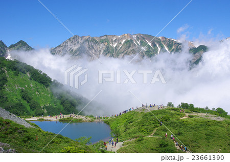 夏の八方池 23661390