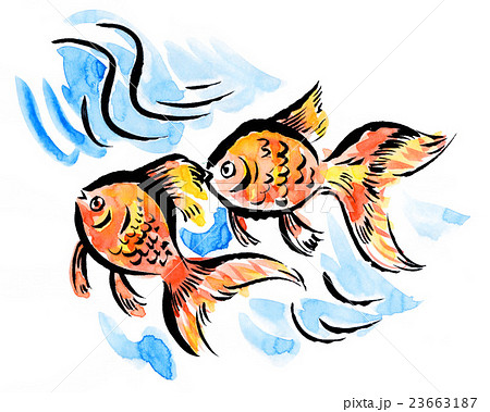 金魚pix7のイラスト素材