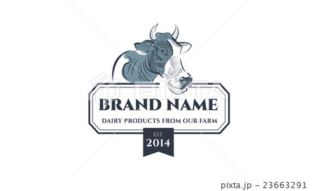 Milk cow vector logo.  Dairy label 23663291