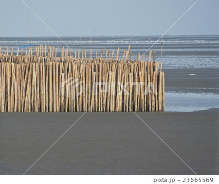 bamboo barrier wall for protection coastline wave bamboo barrier wall for protection coastline wave 23665569