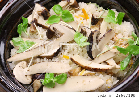 松茸ご飯 23667199