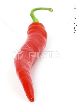 red chilly pepper 23668152